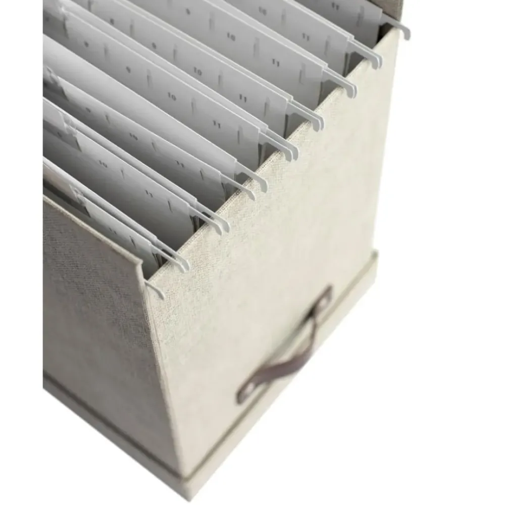New Caja Organizadora Jahan Ii, Con 8 Separadores Material De Oficina