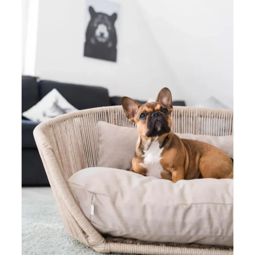Outlet Cama Para Mascotas De Interior/Exterior Vogue Accesorios Para Animales