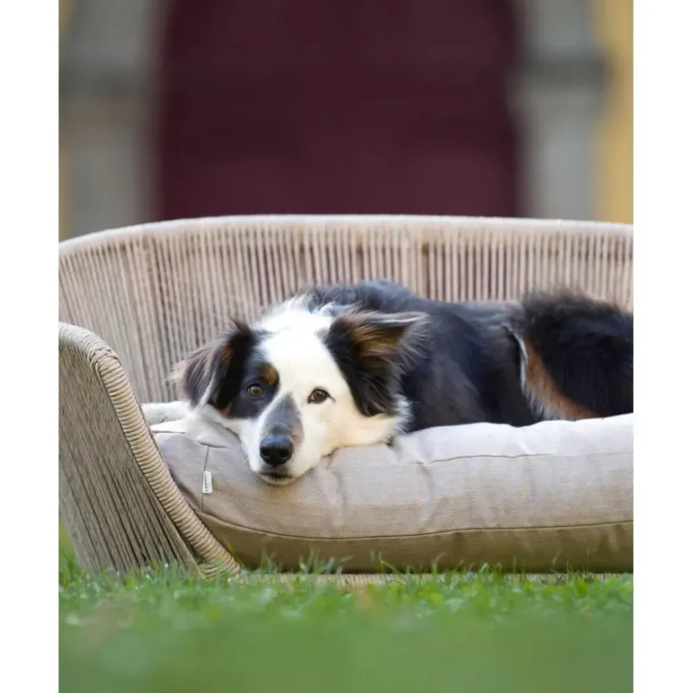 Outlet Cama Para Mascotas De Interior/Exterior Vogue Accesorios Para Animales