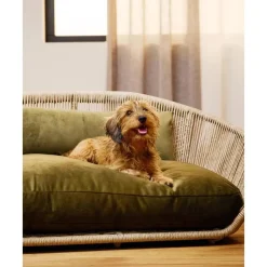 Best Cama Para Mascotas De Interior/Exterior Vogue Accesorios Para Animales