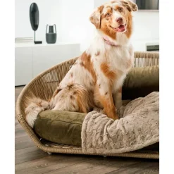 Best Cama Para Mascotas De Interior/Exterior Vogue Accesorios Para Animales