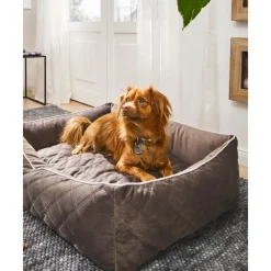 Outlet Cama Para Mascotas De Terciopelo Oxford, Tamanos Diferentes Accesorios Para Animales