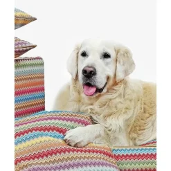 Hot Cama Para Mascotas Zik Zak, Tamanos Diferentes Accesorios Para Animales