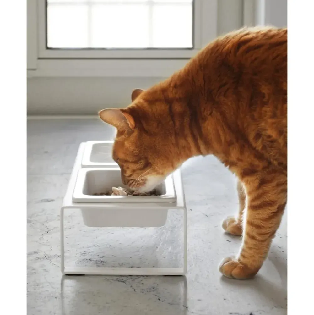 Clearance Comedero Para Mascotas Tower Accesorios Para Animales
