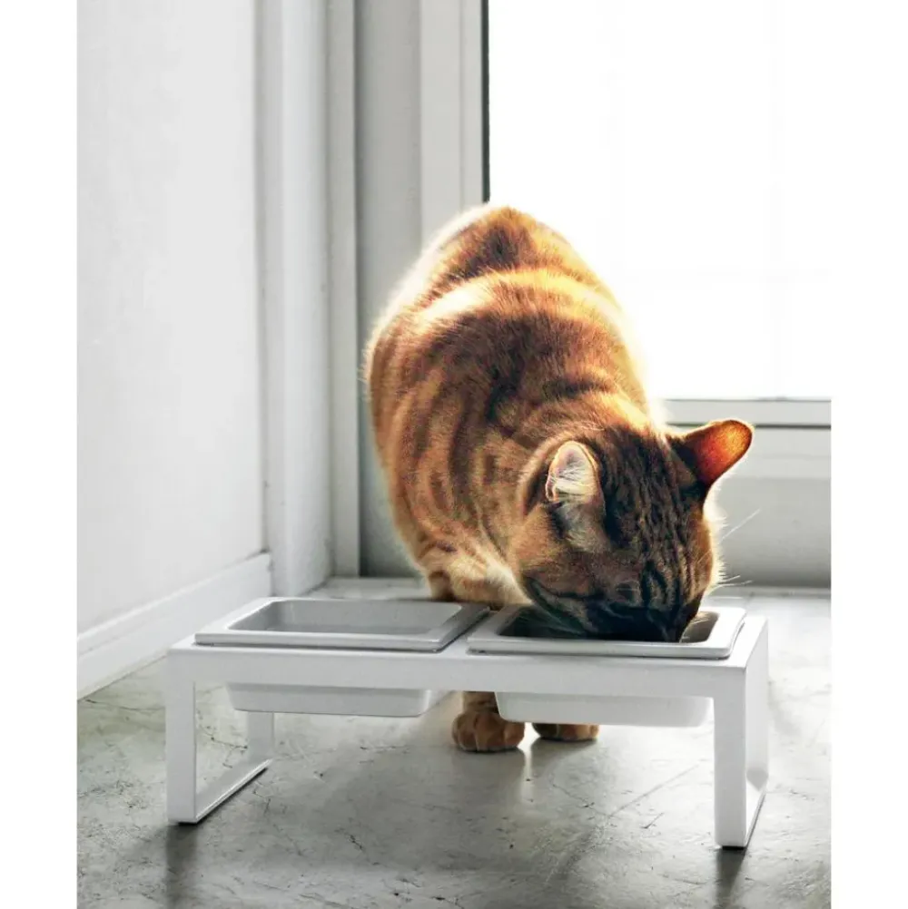 Clearance Comedero Para Mascotas Tower Accesorios Para Animales