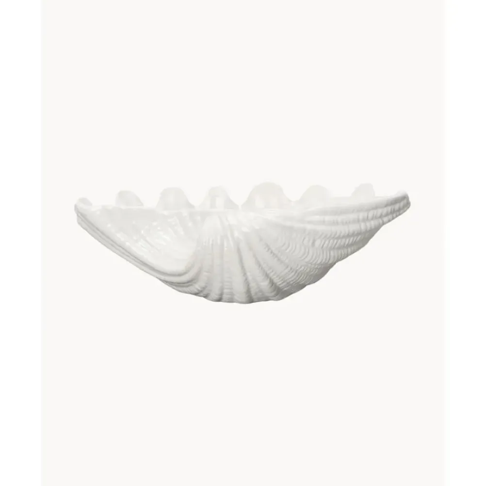 Sale Cuenco De Dolomita Shell Cuencos Decorativos