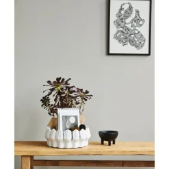 Best Cuenco Decorativo Grande De Ceramica Anise Cuencos Decorativos