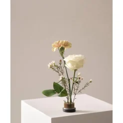 Clearance Erizo Floral Para Jarron Fiore, O 5 Cm Maceteros