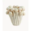 Fashion Jarron Artesanal De Diseno Fungi Jarrones