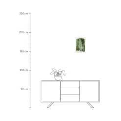 Discount Lamina Decorativa White Fern Cuadros Y Laminas Decorativas