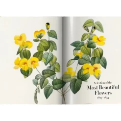 New Libro Ilustrado Book Of Flowers Libros Decorativos