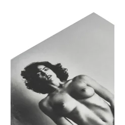 New Libro Ilustrado Helmut Newton Sumo Libros Decorativos