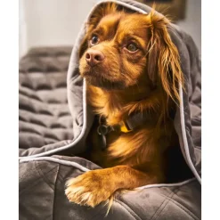 Hot Manta Acolchada Para Mascotas Oxford, Tamanos Diferentes Accesorios Para Animales