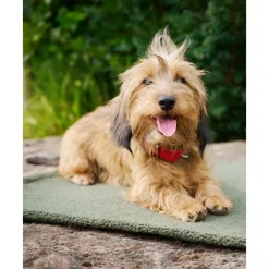 Online Manta Acolchada Para Mascotas Antideslizante Teddy, Tamanos Diferentes Accesorios Para Animales