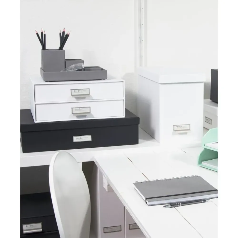 New Organizador De Escritorio Birger Material De Oficina
