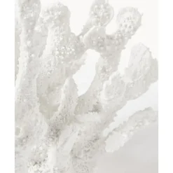 Best Pieza Decorativa De Diseno Coral Figuras Decorativas