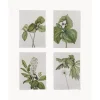 Outlet Set De Posters Fribo, 4 Uds. Posters