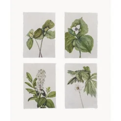 Outlet Set De Posters Fribo, 4 Uds. Posters