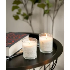 Outlet Vela Perfumada Winter (Canela) Velas Perfumadas