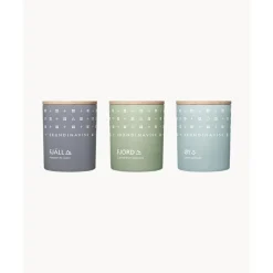 Fashion Velas Perfumadas Explore, 3 Uds. Velas Perfumadas