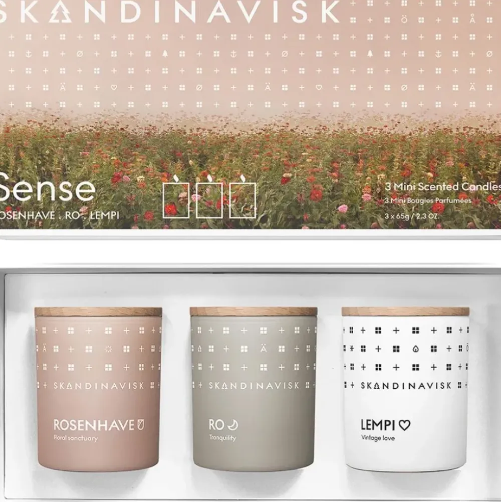 Best Velas Perfumadas Sense, 3 Uds. Velas Perfumadas